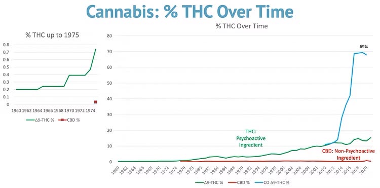 cannabis thc percentage over time