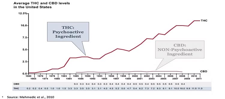 average thc and cbd levels in the united states